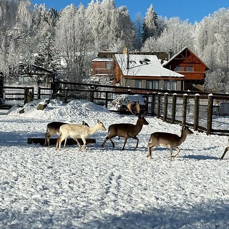 Farma Frantisek Hotel Stachy Екстериор снимка
