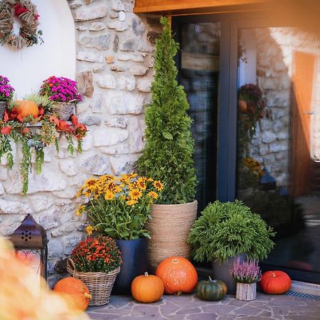 Farma Frantisek Hotel Stachy Екстериор снимка