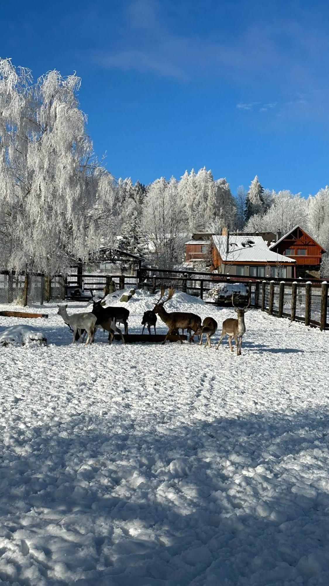 Farma Frantisek Hotel Stachy Екстериор снимка